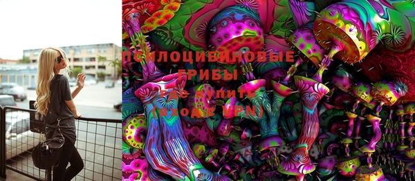 сатива Абинск