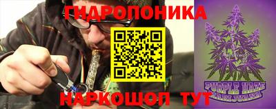 амф Ливны